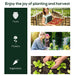 Set of 2 Clear Tunnel Greenhouses with Roll-up Door Steel Frame and Plastic Cover by Outsunny
