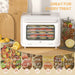 Six Tray Food Dehydrator 35-70 Degrees Centigrade Adjustable Temperature White by HOMCOM