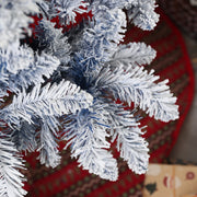 Macro of frosted blue-white branch tips over a red tree skirt