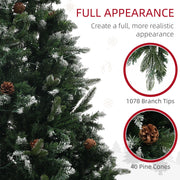 Close-up of snow-tipped branches with 1078 branch tips and 40 pine cones callouts