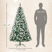 Tree size diagram showing 1.8 m height and 1.03 m width beside a 1.8 m figure