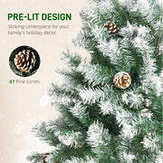 Close-up of branches with pine cones and a 61 pine cones label