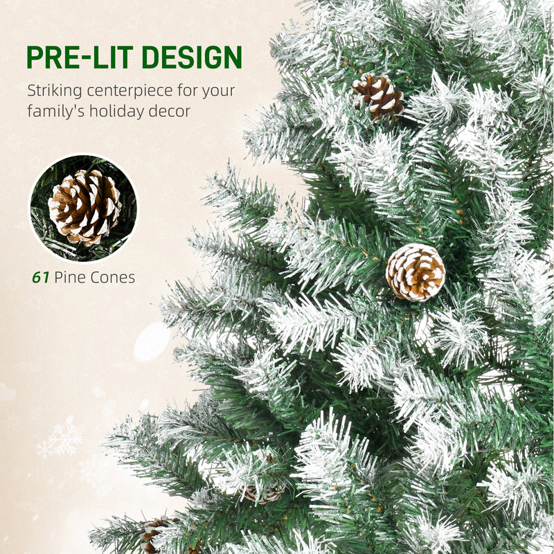 Close-up of branches with pine cones and a 61 pine cones label