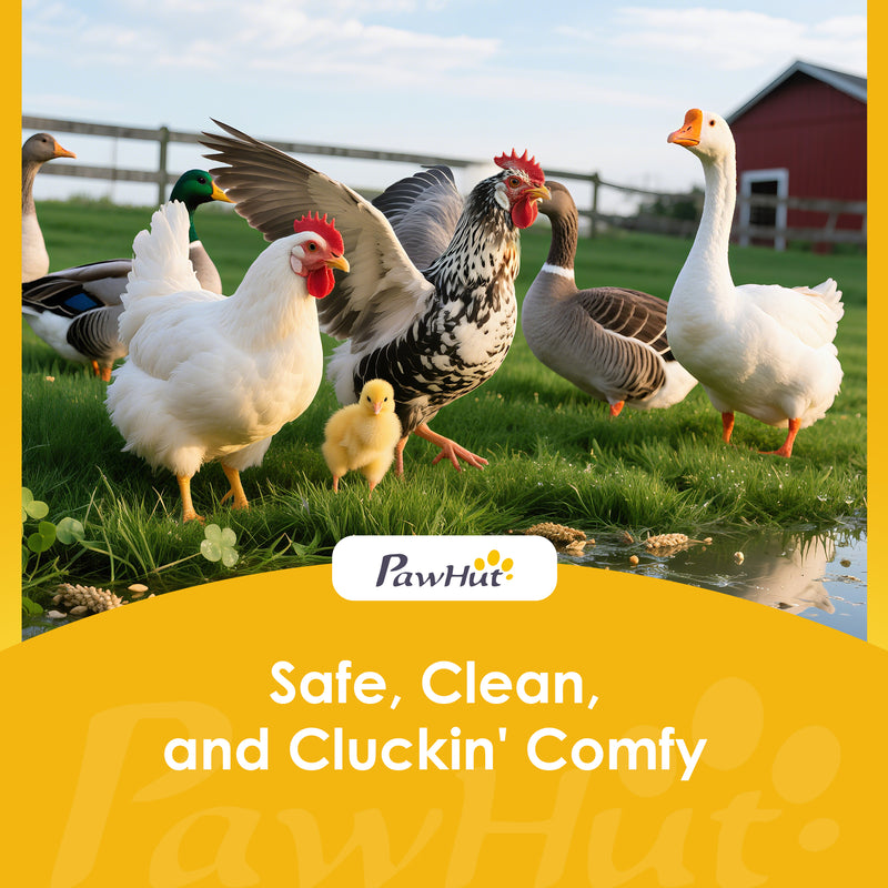 Wooden Outdoor Chicken Coop for 1–2 Chickens or Small Pets with Raised Weatherproof Design Grey