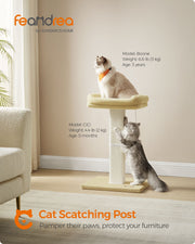 Cat resting on the large plush perch of the Feandrea scratching post