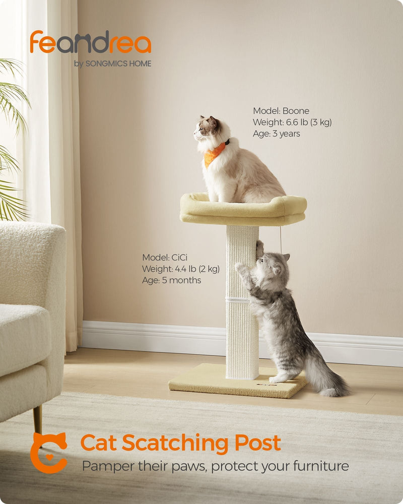 Cat resting on the large plush perch of the Feandrea scratching post
