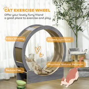 Grey Cat Exercise Wheel with Brake and Scratching Pads by PawHut