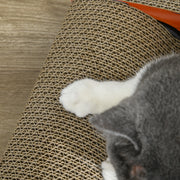 2 in 1 Car Shaped Cat Scratching Board with Catnip for Play and Claw Care Grey