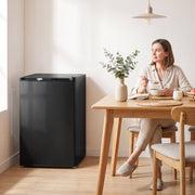 Black mini freezer beside a dining table while a woman has breakfast