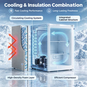 Cutaway infographic of the white mini freezer showing its insulation layer, cooling system and compressor