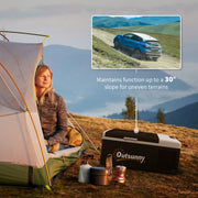 16L Portable Car Fridge with Adjustable Temperature for Travel and Camping Black Grey AOSOM