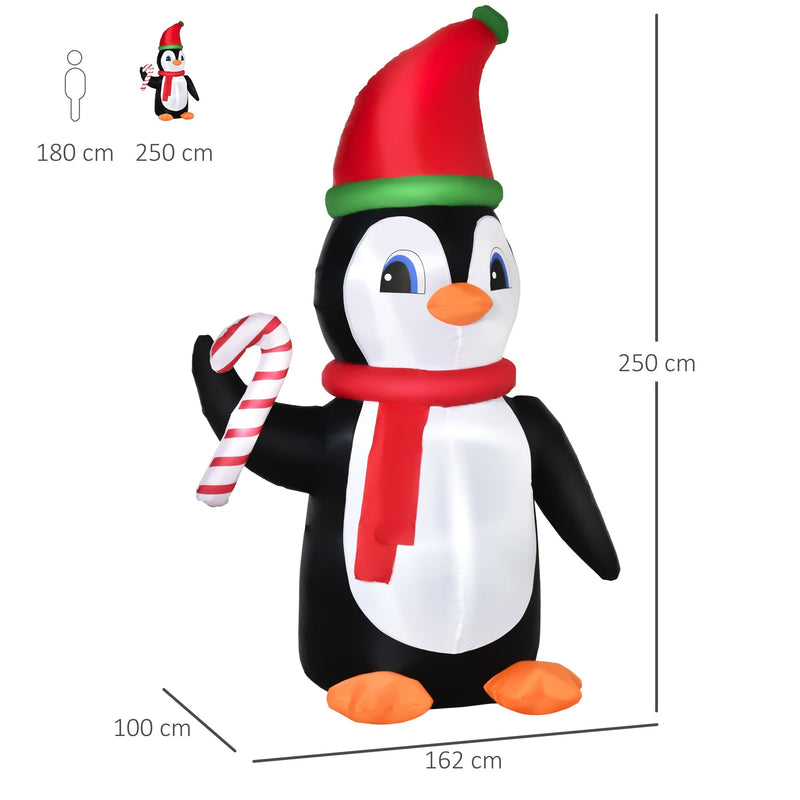 Dimensions diagram of the penguin: 250 cm high, 162 cm wide, 100 cm deep