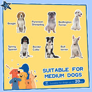 Wooden Dog Kennel with Removable Floor Openable Roof and Large Window Yellow by PawHut