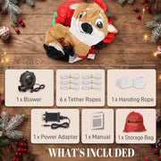 What is included panel showing blower, 6 tether ropes, hanging rope, power adapter, manual and storage bag