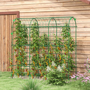 Tall Metal Garden Arch Trellis with Climbing Net Ideal for Outdoor Plants Support Black AOSOM