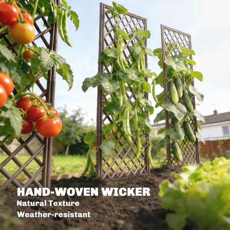 Garden Arch Set for Climbing Plants Hand Woven Wicker Slim Design Natural Wood Finish