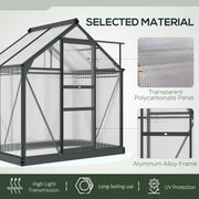 Large Walk In Polycarbonate Greenhouse With Sliding Door For Garden Plant Growth Grey