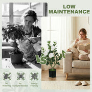 Artificial Camellia Plant 65 cm for Easy Indoor Greenery No Watering Needed White Homcom