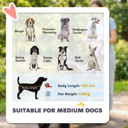 Dog Stroller for Easy Walks with Quick Fold and Mesh Windows Grey Silver Pawhut