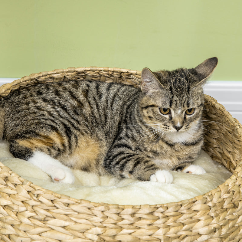 Cat Tree Tower with Sisal Scratching Post and Two Plush Beds for Kittens 72cm Grey AOSOM