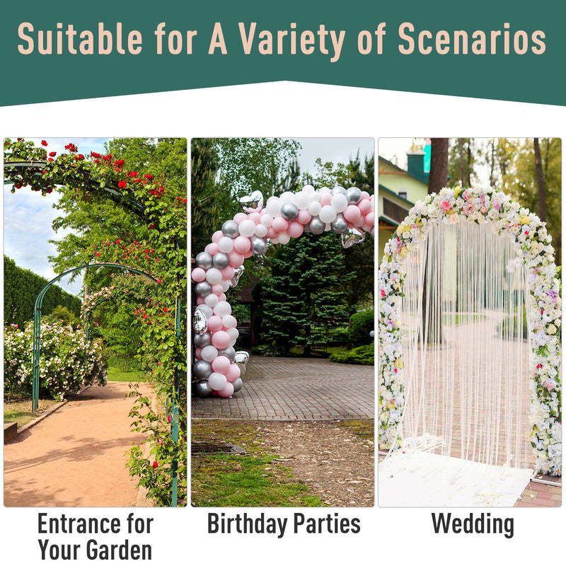 Metal Garden Arch with Gate for Climbing Plants and Roses Outdoor Arbour, Black