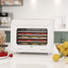 Six Tray Food Dehydrator 35-70 Degrees Centigrade Adjustable Temperature White by HOMCOM