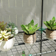 Three Tier Mini Greenhouse White Portable Plant Grow House by Outsunny