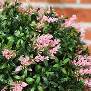 Set of 2 UV Protected Artificial Topiary Balls Ideal for Outdoor Decor Pink AOSOM