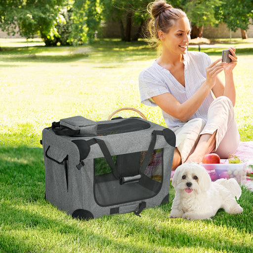 Folding Pet Carrier Bag with Mesh Panels for Travel and Outdoor Use, Grey