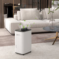 Portable 20L Dehumidifier with 24 Hour Timer and 3 Modes for Home or Laundry Use White AOSOM