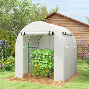 Walk In Polytunnel Greenhouse With Roll Up Door And Windows For Garden Growing White