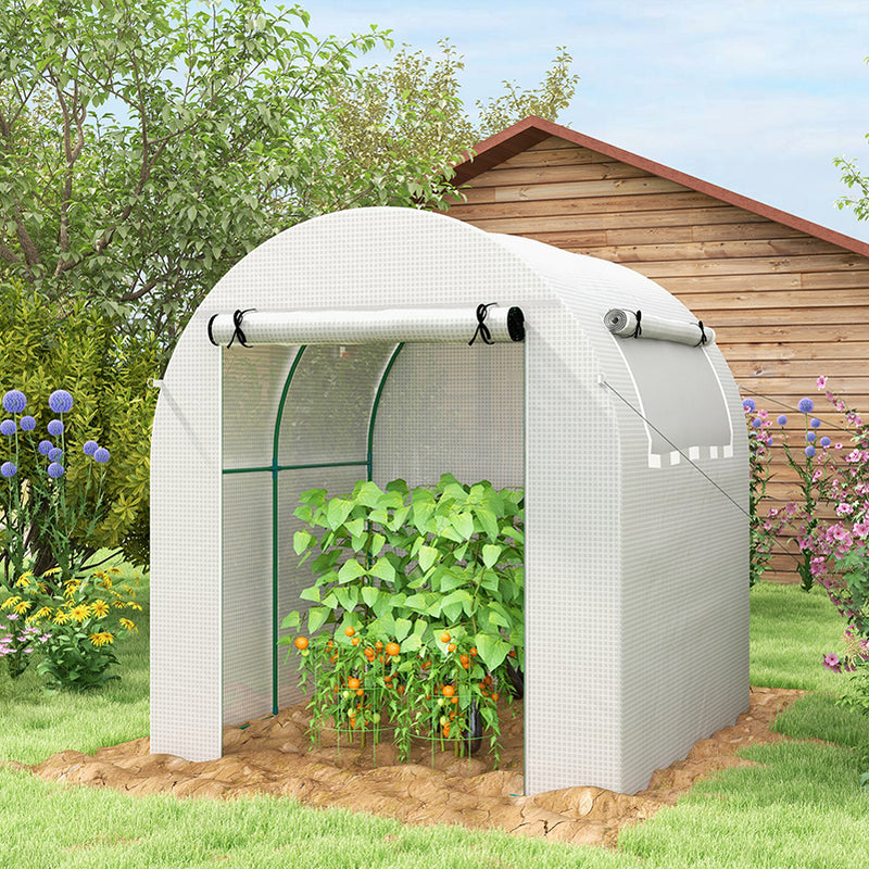 Walk In Polytunnel Greenhouse With Roll Up Door And Windows For Garden Growing White