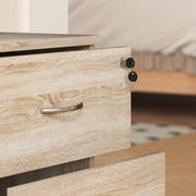 Two Drawer Lockable Filing Cabinet Wood Effect for Home Office by HOMCOM