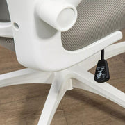 Image of a grey ergonomic desk chair