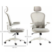 Image of a grey ergonomic desk chair