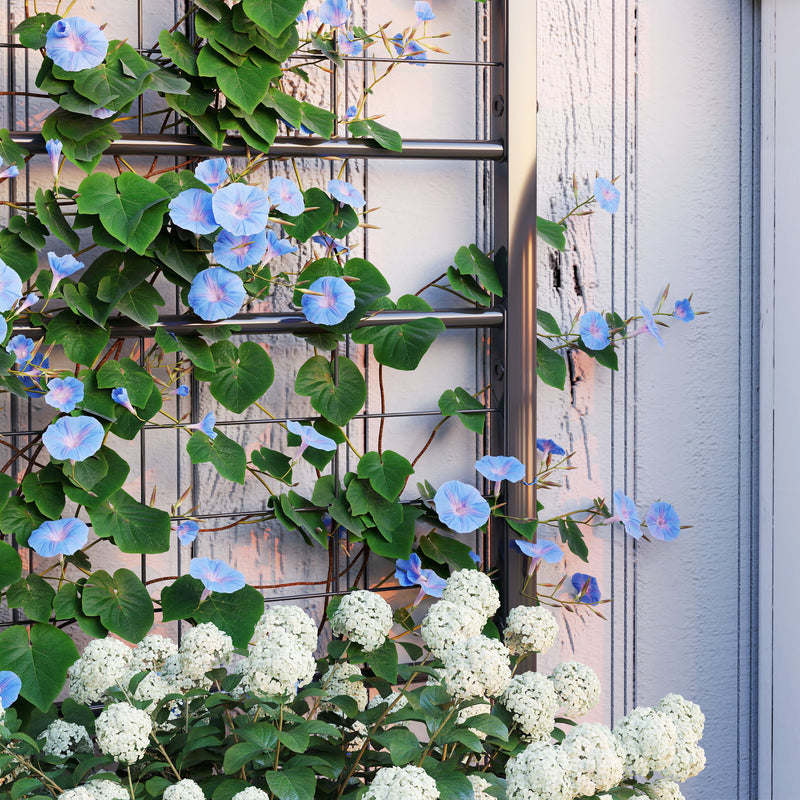 Black Raised Garden Bed with Trellis Galvanised Planter Box with Drainage for Vegetables and Herbs by Outsunny