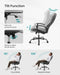 Image of a Grey Executive Office Swivel Chair 