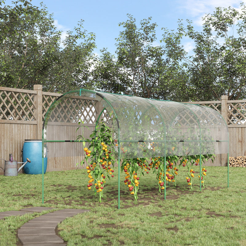 Large Tunnel Greenhouse With 4 Hoops and Guy Ropes Ideal for Growing Vegetables Clear
