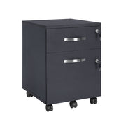 Lockable Filing Cabinet with 2 Drawers and Wheels for Office Storage by Songmics