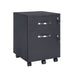 Lockable Filing Cabinet with 2 Drawers and Wheels for Office Storage by Songmics