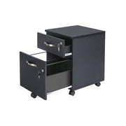 Lockable Filing Cabinet with 2 Drawers and Wheels for Office Storage by Songmics