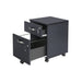 Lockable Filing Cabinet with 2 Drawers and Wheels for Office Storage by Songmics