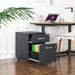 Lockable Filing Cabinet with 2 Drawers and Wheels for Office Storage by Songmics