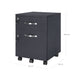 Lockable Filing Cabinet with 2 Drawers and Wheels for Office Storage by Songmics
