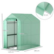 Green Walk In Greenhouse with Shelves 120 x 186cm for Plants and Seedlings by Outsunny
