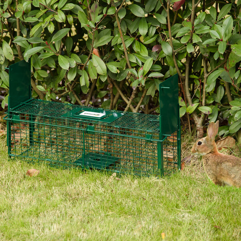 Large Humane Rat and Squirrel Trap with Double Doors for Indoor and Outdoor Use Green