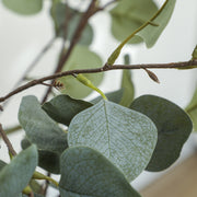 Set of 2 Artificial Eucalyptus Trees 4ft Tall with Potted Silver Leaves