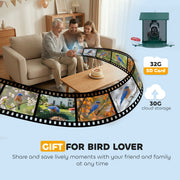 Smart Bird Feeder Camera with 2K HD Video and AI Species Recognition App Alerts Grey AOSOM