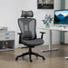 Image of a Grey Ergonomic Desk Chair