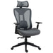 Image of a Grey Ergonomic Desk Chair